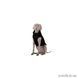 Курточка для собак Collar AiryVest ONE, L65, черная 41496409 фото 8