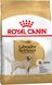 Сухой корм Royal Canin (Роял Канин) для собак породы Labrador (Лабрадор-ретривер) 12 кг. 2487120 фото 1