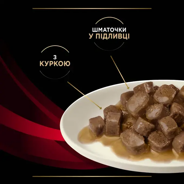 Влажный корм PRO PLAN DM Diabetes Management для кошек при сахарном диабете, с курицей (пауч) 85 г 23079166 фото