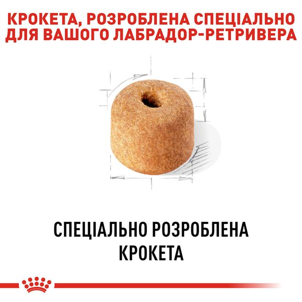 Сухой корм Royal Canin (Роял Канин) для собак породы Labrador (Лабрадор-ретривер) 12 кг. 2487120 фото