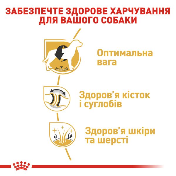 Сухой корм Royal Canin (Роял Канин) для собак породы Labrador (Лабрадор-ретривер) 12 кг. 2487120 фото