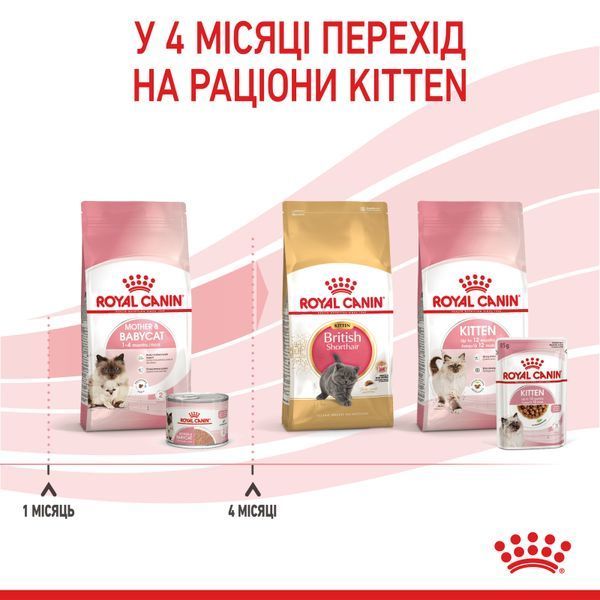 Влажный корм Royal Canin (Роял Канин) Mother & Babycat для котят от 1 до 4 месяцев (мусс) 195 г/12 шт. RC 4098002 (x12) фото