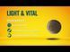 Josera (Йозера) Light & Vital (Йозера Лайт енд Вітал) для собак, дієта для зниження та утримання ваги 12,5 кг. 60009618 фото 3