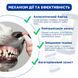 Ветсмайл (VetSmile) Спрей для ротової порожнини, 50 мл, MODES ЗС000386 фото 4