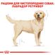 Сухой корм Royal Canin (Роял Канин) для собак породы Labrador (Лабрадор-ретривер) 12 кг. 2487120 фото 2