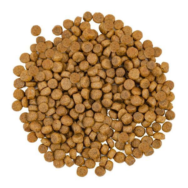Сухий корм Savory для довгошерстих котів, зі свіжим лососем і білою рибою, 8 кг 30037 фото