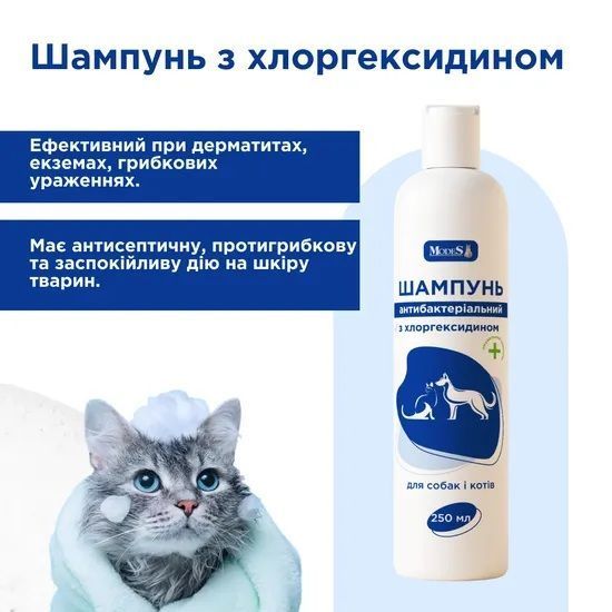 Шампунь антибактеріальний з хлоргексидином для собак і котів, 250 мл, MODES ЗС000402 фото