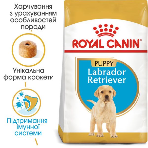 Сухий корм для щенят Лабрадора Royal Canin (Роял Канін) Labrador Puppy 12 кг. 24911201 фото