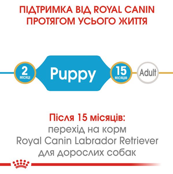 Сухий корм для щенят Лабрадора Royal Canin (Роял Канін) Labrador Puppy 12 кг. 24911201 фото