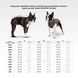 Курточка для собак WAUDOG Clothes малюнок "Дім", XS30, В 43-46 см, С 24-27 см 5733-0230 фото 2