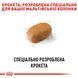 Сухий корм Royal Canin (Роял Канін) для собак породи Maltese (Мальтійська болонка) 1,5 кг. 3995015 фото 3