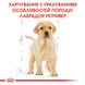 Сухой корм для щенков Лабрадора Royal Canin (Роял Канин) Labrador Puppy 12 кг. 24911201 фото 6