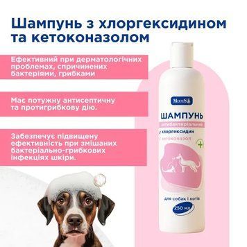 Шампунь антибактеріальний з хлоргексидином і кетоконазолом для собак і котів, 250 мл, MODES ЗС000403 фото