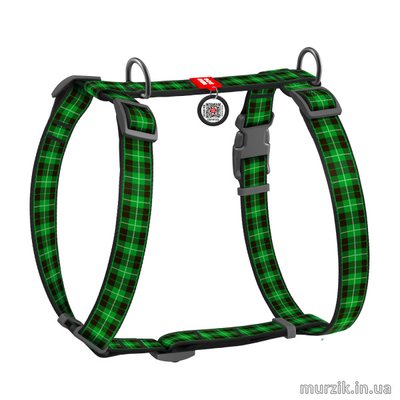 Шлея для собак Collar WAUDOG Nylon,анатомическая H-образная, с рисунком "Шотландка зеленая", нейлон, 30-50 см 42076017 фото