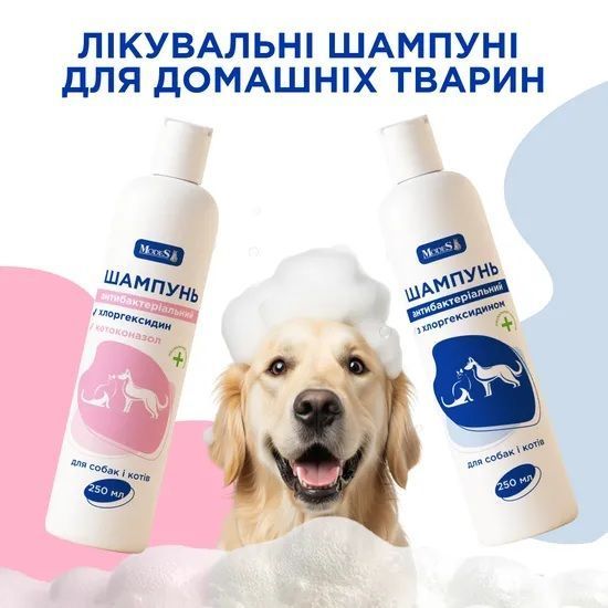 Шампунь антибактеріальний з хлоргексидином і кетоконазолом для собак і котів, 250 мл, MODES ЗС000403 фото