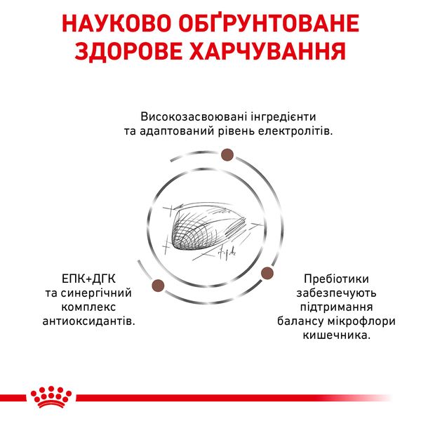 Сухой корм для кошек и котов Royal Canin (Роял Канин) Gastro Intestinal Feline 0,4 кг. RC 39050041 фото