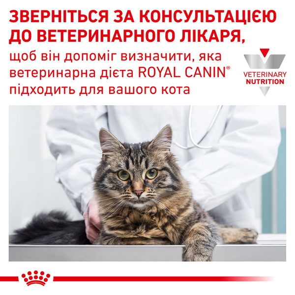 Сухой корм для кошек и котов Royal Canin (Роял Канин) Gastro Intestinal Feline 0,4 кг. RC 39050041 фото