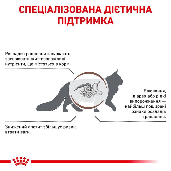 Сухой корм для кошек и котов Royal Canin (Роял Канин) Gastro Intestinal Feline 0,4 кг. RC 39050041 фото