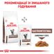 Сухі корми для кішок та котів Royal Canin (Роял Канін) Gastro Intestinal Feline 0,4 кг. RC 39050041 фото 12