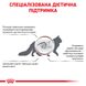 Сухой корм для кошек и котов Royal Canin (Роял Канин) Gastro Intestinal Feline 0,4 кг. RC 39050041 фото 6