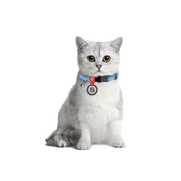 Ошейник для котов из восстановленного хлопка WAUCAT Re-cotton с QR паспортом, светоотражающий, пластиковый фастекс, XS, Ш 10 мм, Дл 20-30 см, голубой 164218 фото