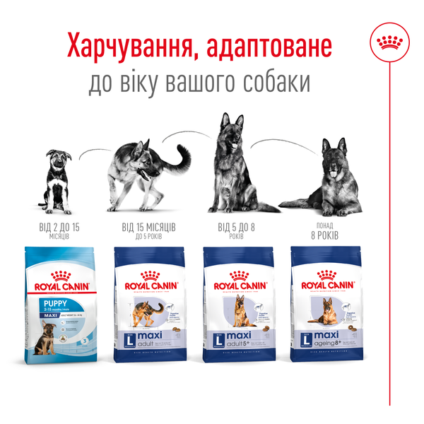 Сухой корм для собак крупных пород Royal Canin (Роял Канин) Maxi Adult 4 кг. 3007040 фото