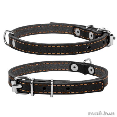 Ошейник для собак Collar, одинарный, размер XS (22-30 см/10 мм), натуральная кожа, черный 32583562 фото