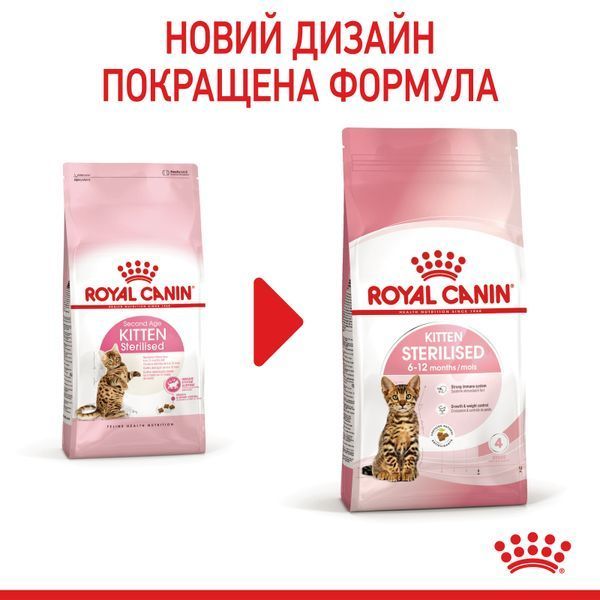 Cухой корм Royal Canin (Роял Канин) Sterilised Kitten для стерилизованных котят 3,5 кг. RC 2562035 фото