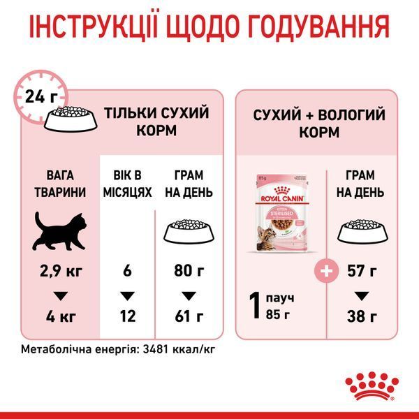 Cухой корм Royal Canin (Роял Канин) Sterilised Kitten для стерилизованных котят 3,5 кг. RC 2562035 фото