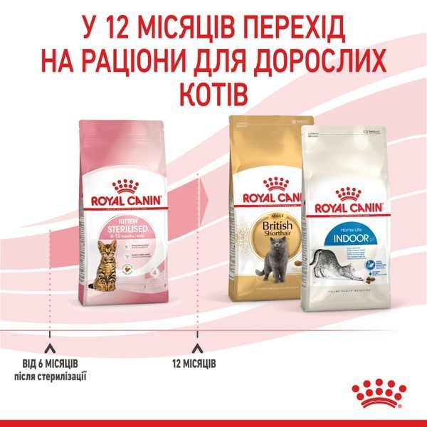 Cухой корм Royal Canin (Роял Канин) Sterilised Kitten для стерилизованных котят 3,5 кг. RC 2562035 фото
