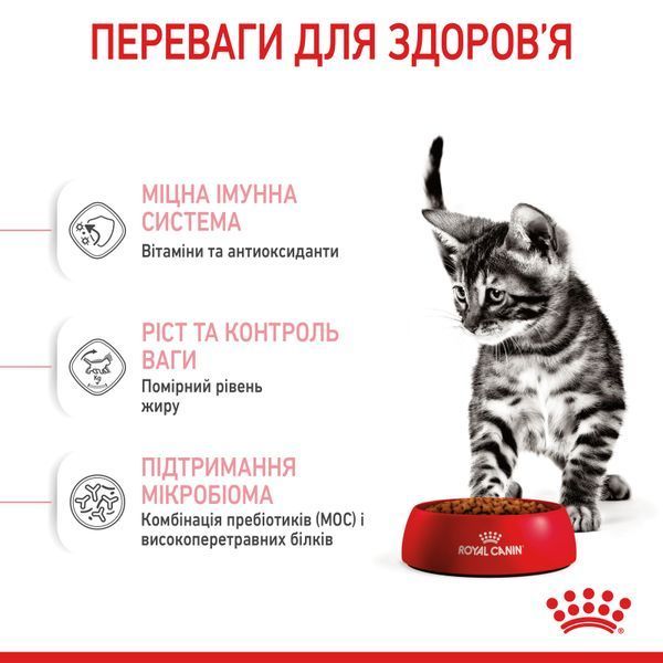 Cухой корм Royal Canin (Роял Канин) Sterilised Kitten для стерилизованных котят 3,5 кг. RC 2562035 фото