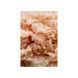 Корм вологий для котів Savory Chicken Fillets rich in Tuna in Jelly for Adult Cats філе курки з тунцем в желе, 70 г 20987 фото 3