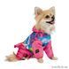 Дождевик для собак Pet Fashion девочка &laquo;Juicy&raquo; XS-2 42205079 фото 2