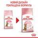 Cухой корм Royal Canin (Роял Канин) Sterilised Kitten для стерилизованных котят 3,5 кг. RC 2562035 фото 2