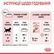 Cухой корм Royal Canin (Роял Канин) Sterilised Kitten для стерилизованных котят 3,5 кг. RC 2562035 фото 7