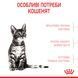 Cухой корм Royal Canin (Роял Канин) Sterilised Kitten для стерилизованных котят 3,5 кг. RC 2562035 фото 5