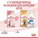 Cухой корм Royal Canin (Роял Канин) Sterilised Kitten для стерилизованных котят 3,5 кг. RC 2562035 фото 9