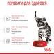 Cухой корм Royal Canin (Роял Канин) Sterilised Kitten для стерилизованных котят 3,5 кг. RC 2562035 фото 4