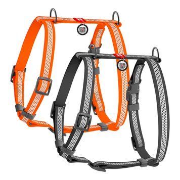 Шлея для собак водостійка анатомічна Н-подібна WAUDOG Waterproof з QR-паспортом, світловідбивна, пластикова пряжка-фастекс, S, Ш 15 мм, А 28-42 см, В 34-51 см, сірий 32444 фото
