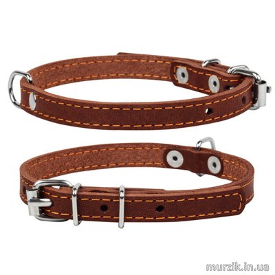 Ошейник для собак Collar, одинарный, размер XS (22-30 см/10 мм), натуральная кожа, коричневый 32583563 фото