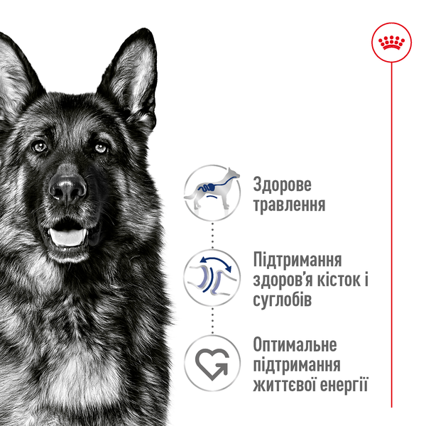 Сухий корм для собак великих порід від 5 років Royal Canin (Роял Канін) Maxi 5+ Adult 15 кг. 3008150 фото