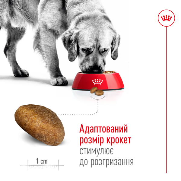 Сухой корм для собак крупных пород старше 5 лет Royal Canin (Роял Канин) Maxi 5+ Adult 15 кг. 3008150 фото