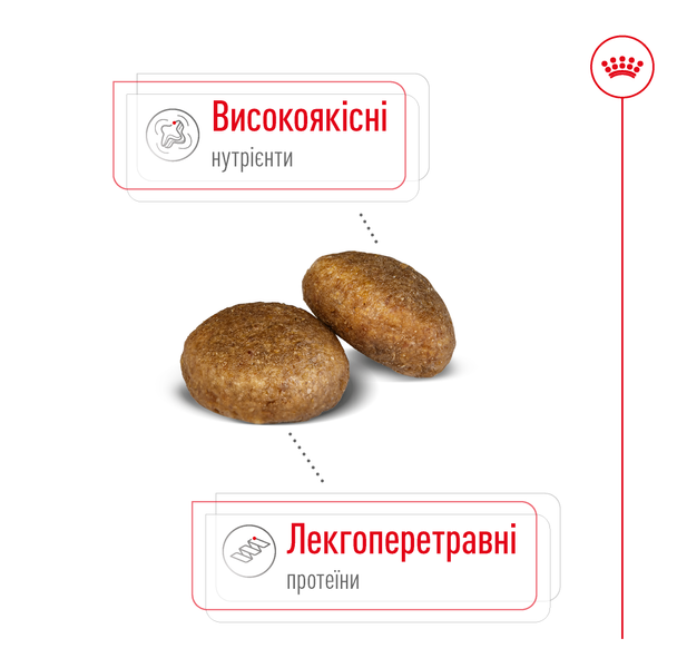 Сухий корм для собак великих порід від 5 років Royal Canin (Роял Канін) Maxi 5+ Adult 15 кг. 3008150 фото