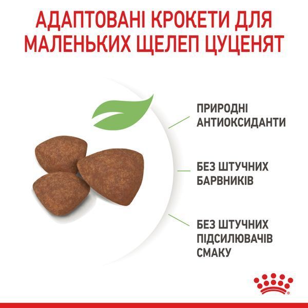 Сухий корм для щенят дрібних порід Royal Canin (Роял Канін) Mini Puppy 800 г 30000082 фото