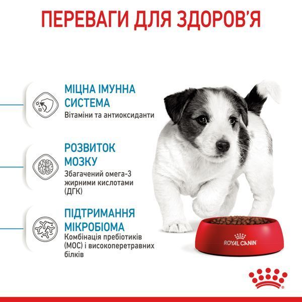 Сухий корм для щенят дрібних порід Royal Canin (Роял Канін) Mini Puppy 800 г 30000082 фото