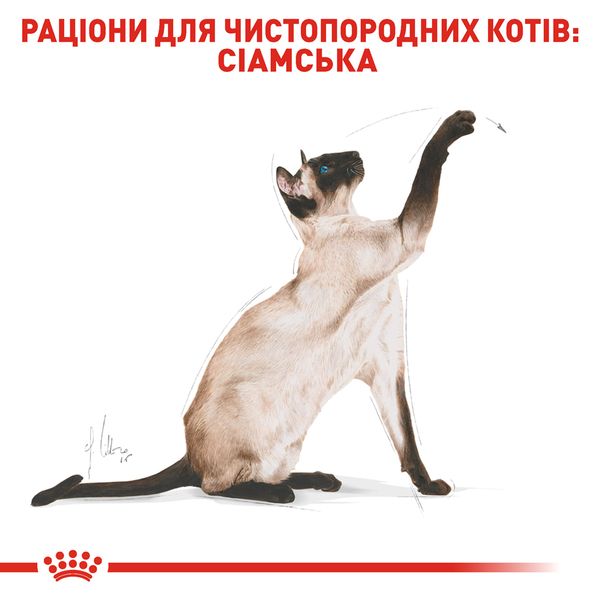 Сухий корм для котів та кішок Royal Canin (Роял Канін) Siamese 0,4 кг. RC 2551004 фото