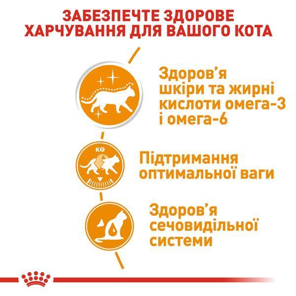 Вологий корм Royal Canin (Роял Канін) Intense Beauty для краси шкіри та шерсті пауч (у желе) 85 г/12 шт. RC 4151001 (x12) фото