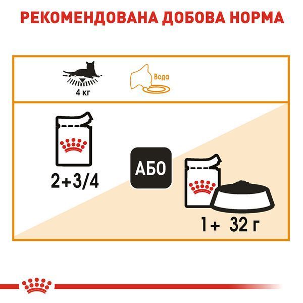 Вологий корм Royal Canin (Роял Канін) Intense Beauty для краси шкіри та шерсті пауч (у желе) 85 г/12 шт. RC 4151001 (x12) фото