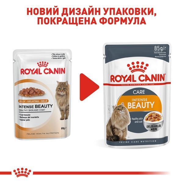Вологий корм Royal Canin (Роял Канін) Intense Beauty для краси шкіри та шерсті пауч (у желе) 85 г/12 шт. RC 4151001 (x12) фото
