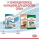 Сухий корм для щенят дрібних порід Royal Canin (Роял Канін) Mini Puppy 800 г 30000082 фото 6